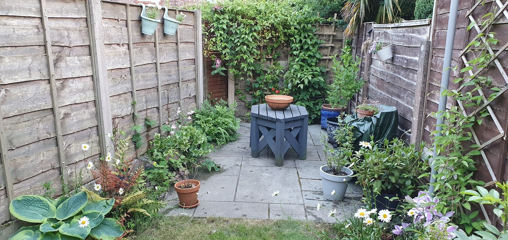 Images for Langley Grove, Prestwich, M25